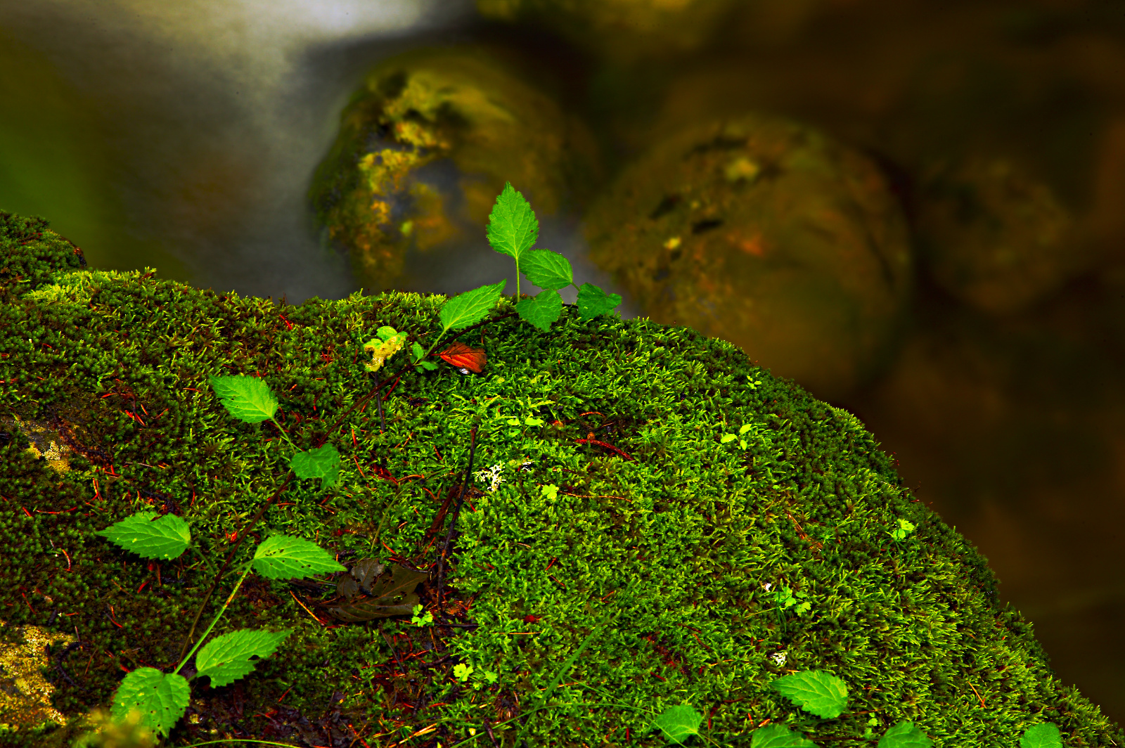 20DU3111 (78 von 153)dpp